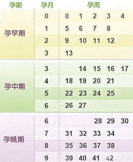 头条问答 怀孕多少周是怎么计算的 128个回答