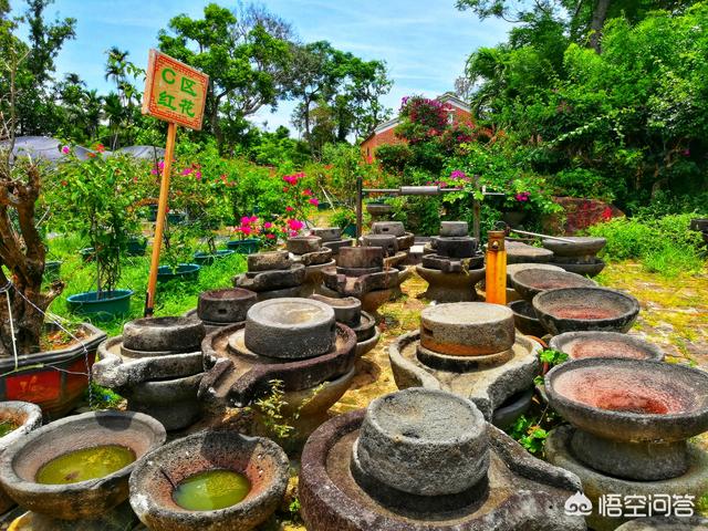 海南东山岭:去海南的万宁旅游，都应该去哪些地方