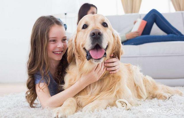 家里养什么狗好，有哪些适合养在家里的狗狗？