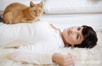 吸猫什么意思啊:吸猫到底有没有可能感染弓形虫？