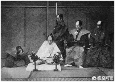 棕榈鹫图册:棕榈鹫 阿拉伯人为什么这么喜欢椰枣？这东西太甜了，我根本受不了？