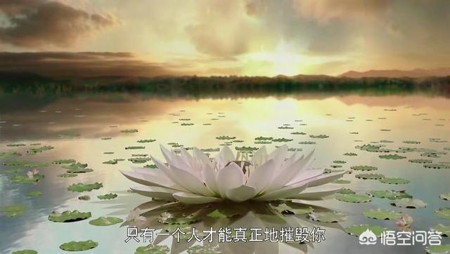 扶摇身世:如何评价电视剧《扶摇》的第61、62集