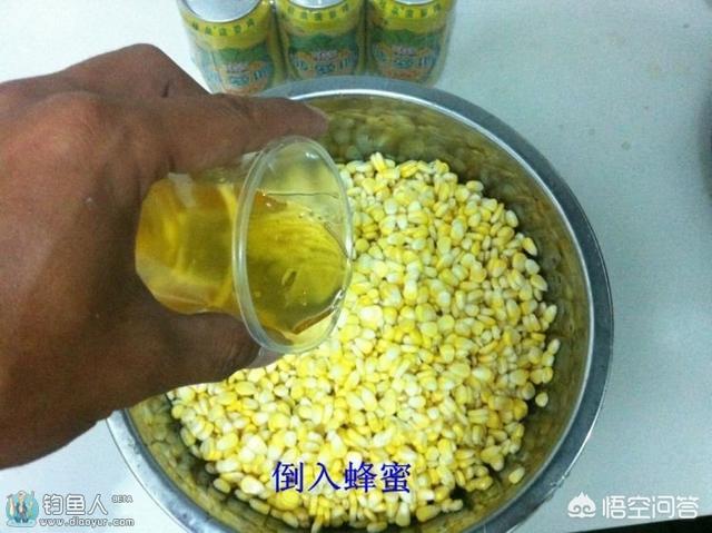 玉米钓草鱼绝招,钓草鱼用的玉米怎么炮制？