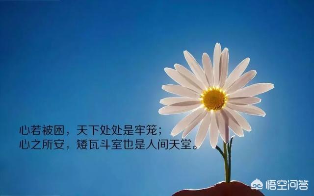 阳光心态正能量的句子:哪里有句句正能量说到心坎里的心情文字？