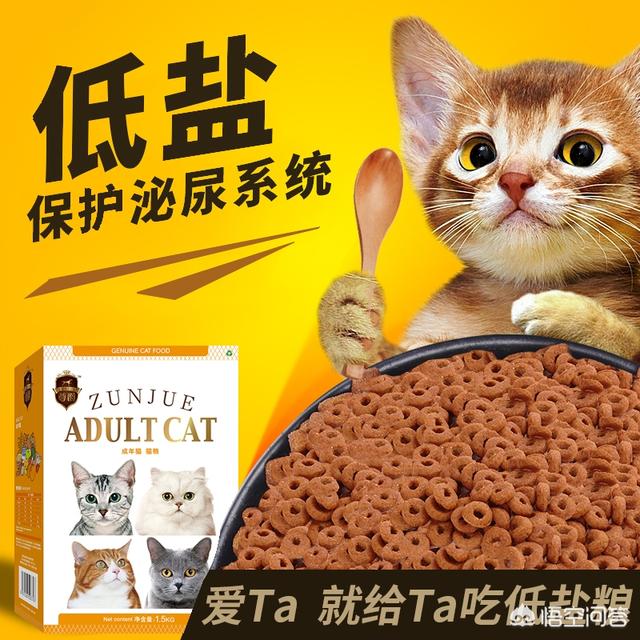 什么牌子的幼猫猫粮比较好:哪些品牌的猫粮比较放心给猫咪吃？