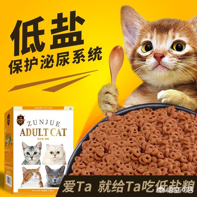 猫粮品牌:哪些品牌的猫粮比较放心给猫咪吃？