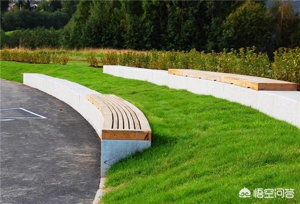 如何适应高中生活(如何适应高中生活英语作文)