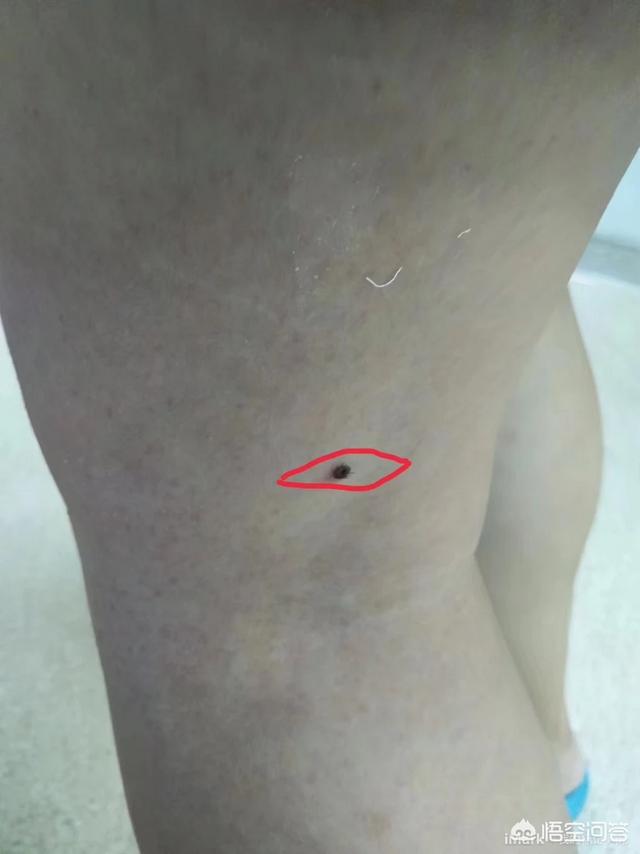 艾薇儿复出:ladygaga和碧昂丝谁的乐坛地位高？