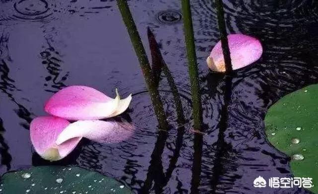 命里有几套房子是注定,人生是不是早就命中注定？