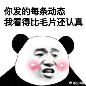 各位有表情包吗？