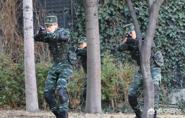 张馨予的老公是谁:张馨予老公何捷是什么军人？