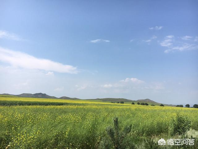 奔跑的蘑菇:德州到内蒙自驾游，七到八天的时间有什么推荐的线路？