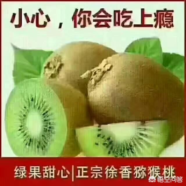 中国产奇异果的地区，国内哪些产区的猕猴桃品质最好