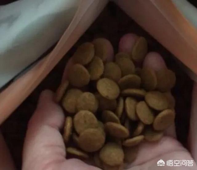 耐吉斯狗粮是真进口吗:为什么农村的狗吃剩饭？城市里的狗吃狗粮？