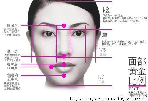 圆脸适合什么发型?_孕妈须知_家诚试管婴儿工作室