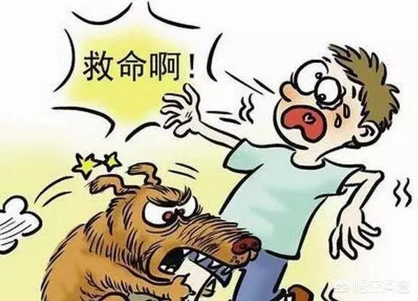 半夜一群狗咬人:临沧一只狗咬伤10人，大家怎么看？