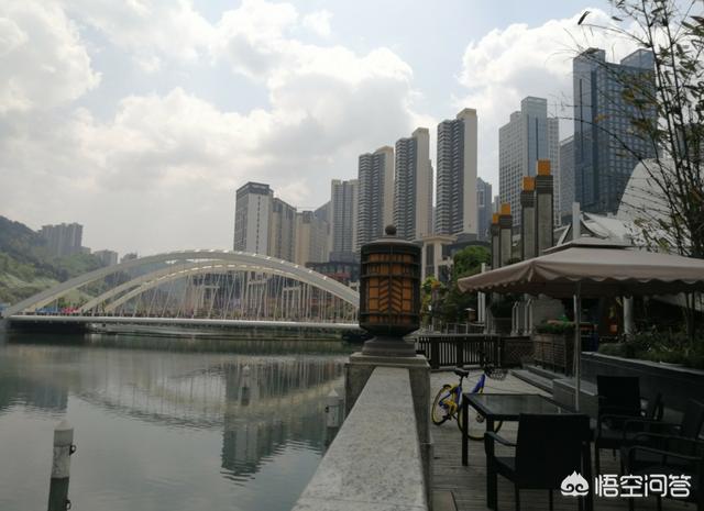 你对花果园和未来方舟的看法是什么？