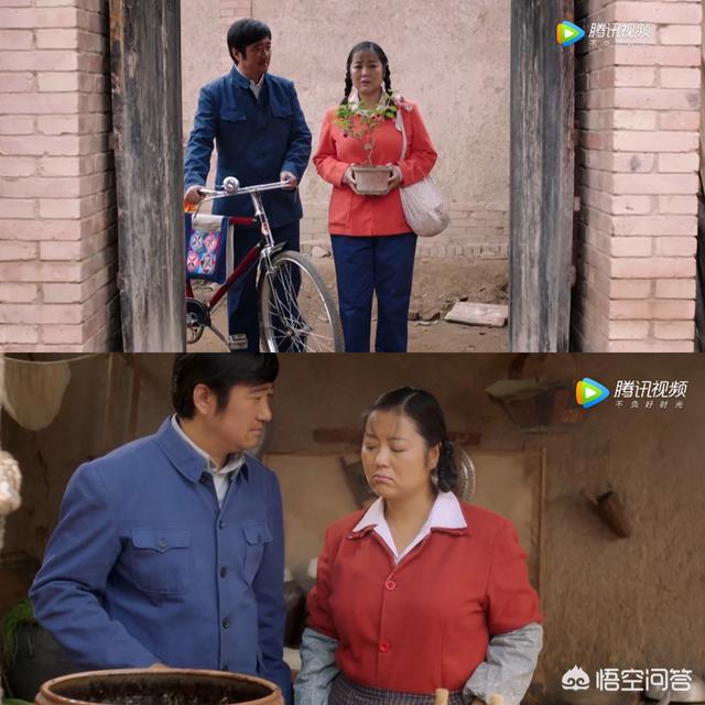 胡杨女人歌曲:如何评价电视剧《岁岁年年柿柿红》中扮演杨柿红的演员王茜华