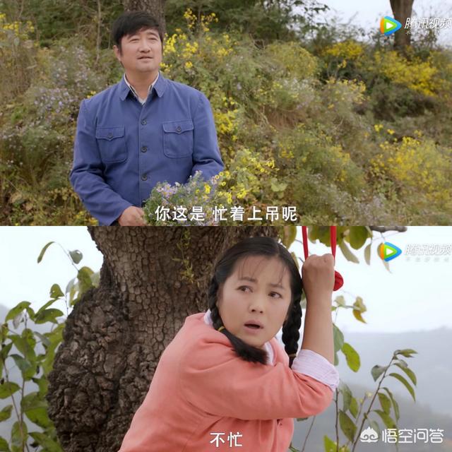 胡杨女人歌曲:如何评价电视剧《岁岁年年柿柿红》中扮演杨柿红的演员王茜华