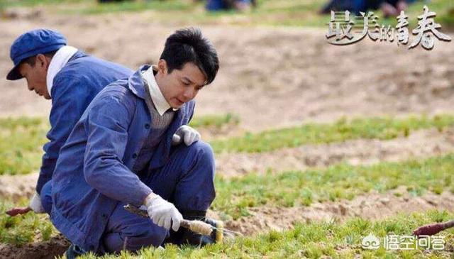 鲁佳妮:有哪些演员是实力派但又不是特别出名？