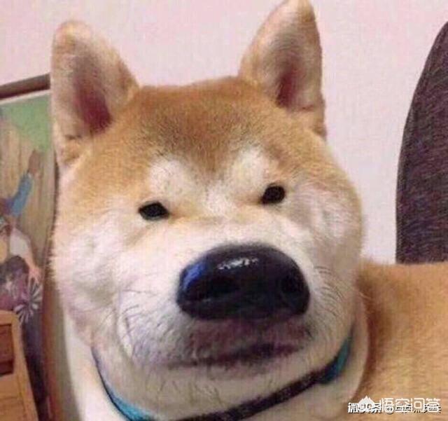 2赞暂无评论哼╯^╰总邀请我也不回关我doinb直播