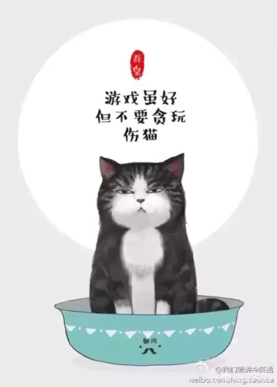 猫猫水果没人玩:宝宝挑食，喜欢吃肉肉，很少吃蔬菜水果应该怎么办呢？