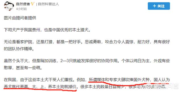 下司犬论坛:下司犬是我国哪里的犬种？优秀吗？