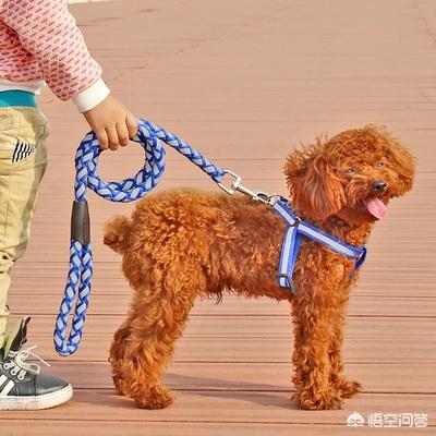 保安遭恶犬攻击缝:小偷进院子里偷东西，被狗咬伤，要求赔偿，应该赔偿吗？