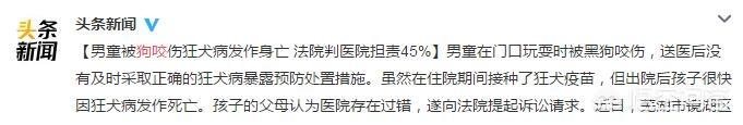 美国训狗节目训狗有方:怎么改正罗威纳幼犬往身上扑的毛病？