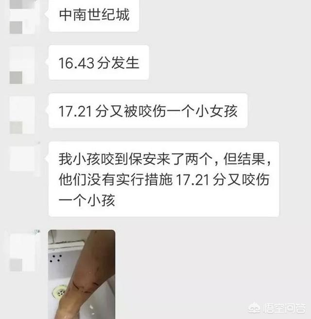 山东威海虐狗事件:如果小区里发生了恶狗咬人的事件，保安有权利对狗进行处置吗？