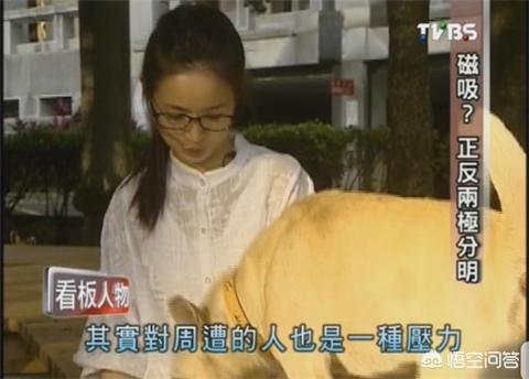 林依晨王阳明:《遥远的救世主》中，王明阳和芮小丹的谈话谁来仔细解读下？