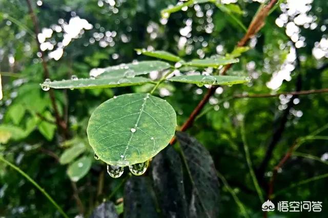 下雨天适合发朋友圈的经典句子大全经典的下雨天的心情说说