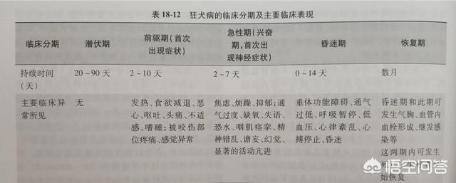 狂犬病病毒可以在口腔内存活:狂犬病是怎么传染的，吃了得狂犬病的狗肉会感染吗？