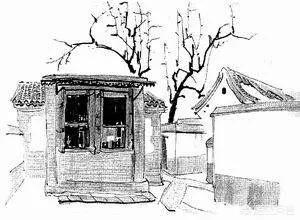 “在我的后园，可以看到墙外有两株树，一株是枣树，另外一株还是枣树。”鲁迅的这句话到底有没有问题？