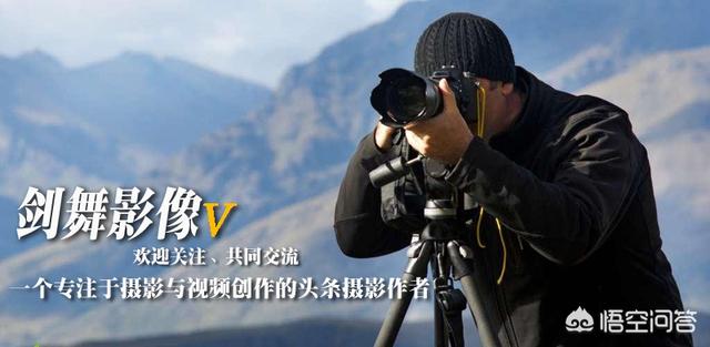 想选一个入门相机,佳能200d、尼康d3400、宾得k70,新手应该选哪个？