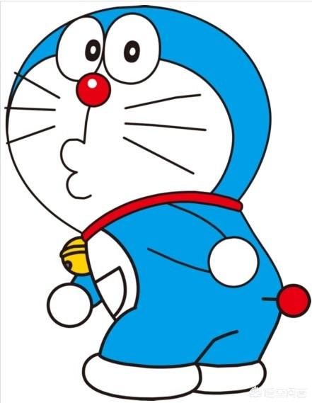 短尾猫能不能养:猫咪如果没有了尾巴，对它会有什么影响？