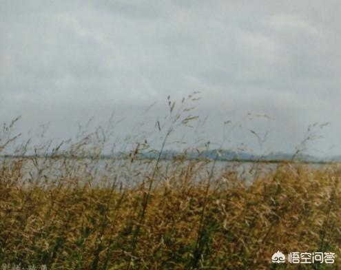 没有钱和技术,学历文凭也不高的人想自己创业,做什么比较好？