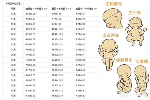 胎儿发育慢是什么原因，胎儿宫内发育迟缓，是什么原因造成的