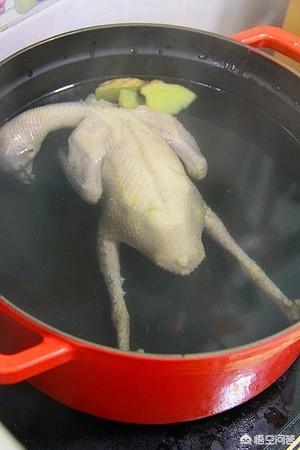壮阳鸽子汤的做法，中年女人补肾鸽子汤放什么好
