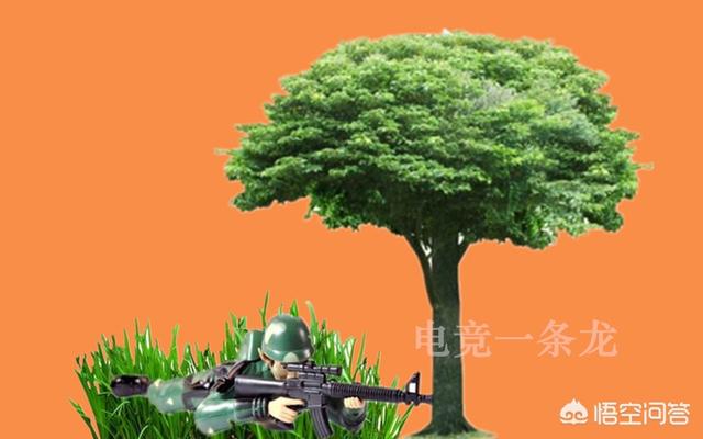 雨林地图的灵异事件:《刺激战场》决赛圈里面有哪些地方最有可能藏人？