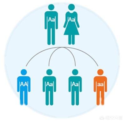 工商银行近亲繁殖:古代人有近亲繁殖，危害下一代这种观念吗？
