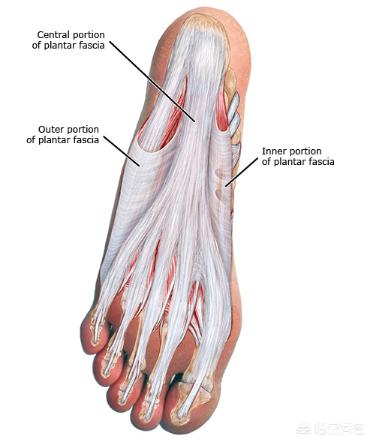 足底筋膜炎有什么征兆，脚底筋膜炎的症状及治疗是什么