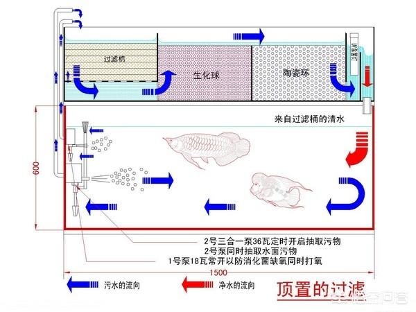 头条问答 