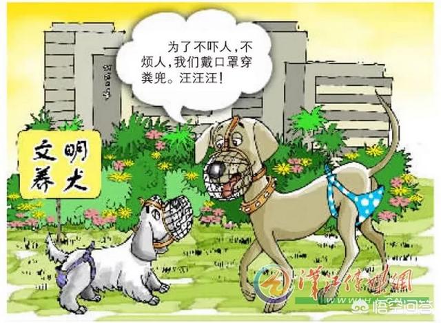 北京禁狗令什么时候颁布的:用异烟肼毒杀宠物狗，真能实现所有人文明养犬吗？