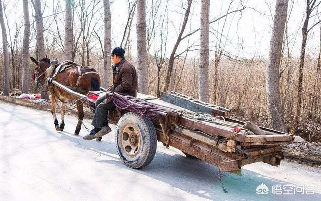 头条问答 普通家用汽车最多可以拉多少斤货物 7个回答