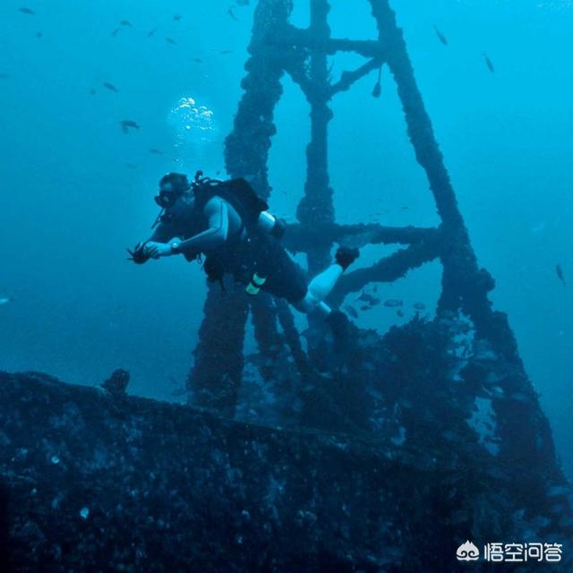 条纹潜鱼哪里最多:具有代表性的潜水手表有哪些推荐？