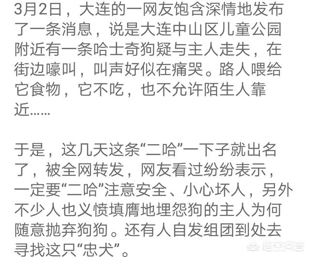 哈斯奇搞笑图:有没有养二哈的朋友？说说你们的感受吧？