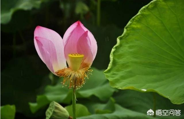 四十岁左右从外企失业的人应该如何创业？