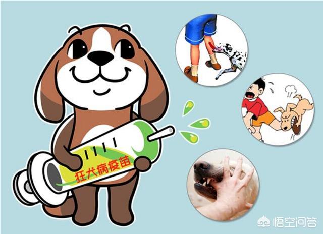 狂犬病的早期症状:在狂犬病发作之前会有什么症状吗？