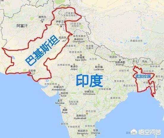 地中海孟加拉猫舍:美国短毛猫在成年之后吃什么猫粮？